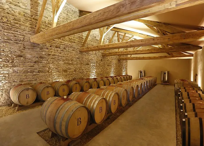 Chateau De Briante Saint-Lager